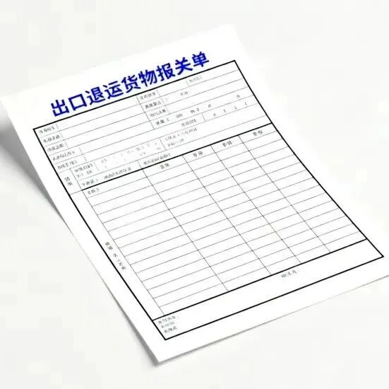 实用指南丨出口退运货物申报注意事项