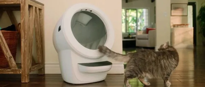 独立站做宠物用品，关键三步法：怎么用视频+广告+网站把销量跑出来？