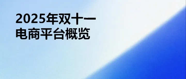 2025年双十一电商平台概览报告