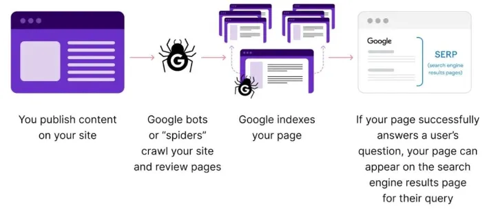 今天聊聊网站开发是如何变成我的技术SEO好拍档的