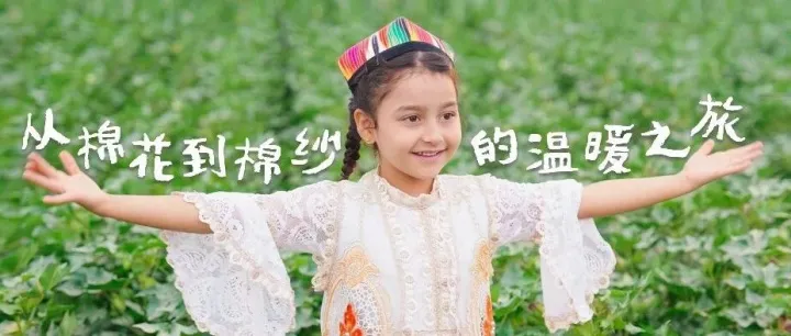 棉花的故事1 | 从棉花到棉纱，串联起无数家庭对美好生活的向往