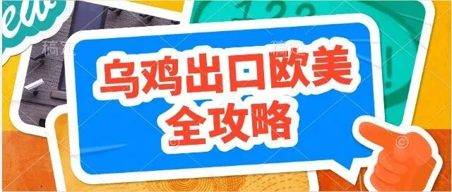 乌鸡出口欧美全攻略