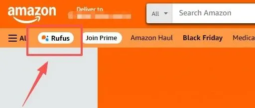 亚马逊新流量入口 Rufus 全面<em>解析</em>：手把手教你<em>优化</em> Listing+反向投喂<em>数据</em>