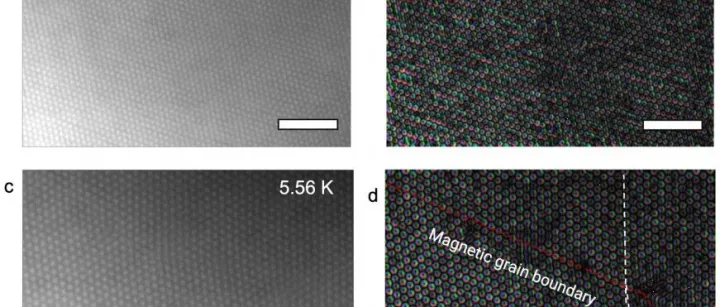 condenZero透射原位电学液氦样品杆应用分享|使用新型液氦流低温台的超低温冷冻透射电子显微技术