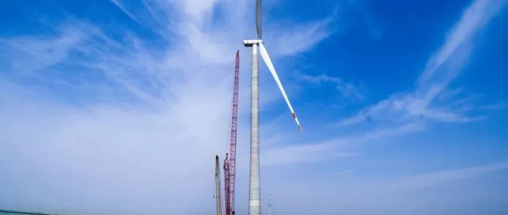 【特别策划】200天极限挑战！荔城风电，耀然新生！