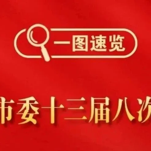 一图速览丨中共伊春市委十三届八次全会决议