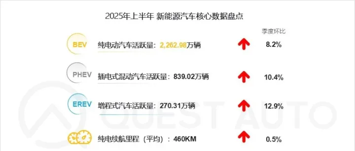 2025年上半年新能源汽车市场发展概况分析