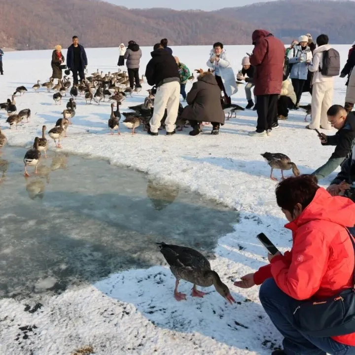 2025年“冰雪同心•引客入伊”百家旅行社进伊春冬季踩线考察活动走进桃源湖景区