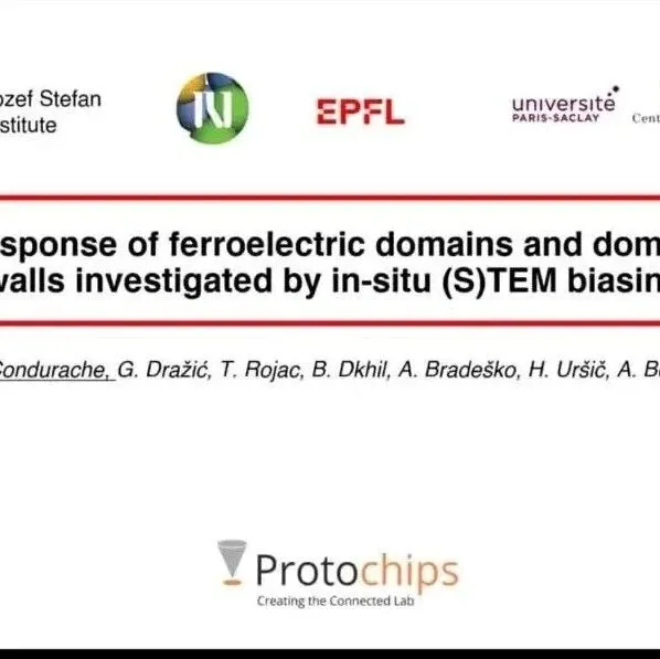 Protochips技术快报|通过原位(S)TEM偏压技术研究铁电畴与畴壁的响应