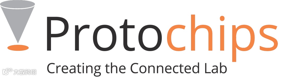ProtochipsLogo_OnLightBackground.png