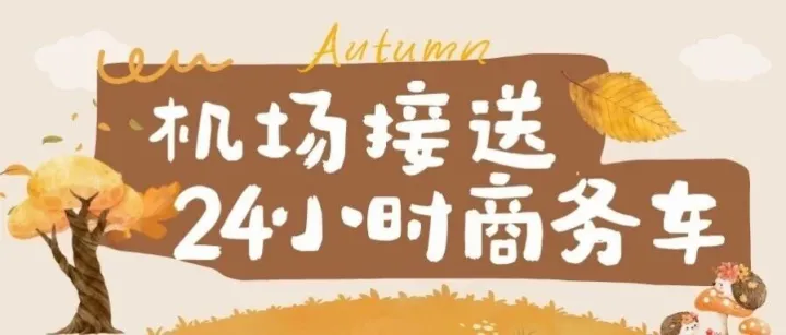 揭秘：專业上海机场接送服务背后的标准化操作流程