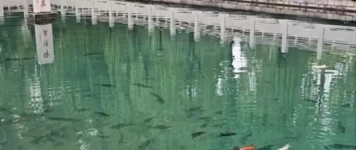 网传河南 短拆资金 事件