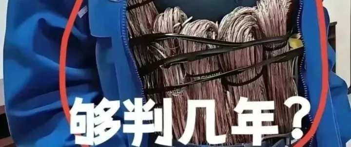 偷拿这么多铜，得进去踩几年缝纫机啊？