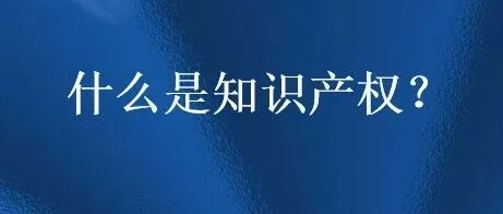 什么是知识产权？