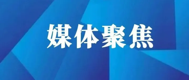 贯彻落实省委十三届八次全会精神·访谈｜董文琴：让老林区焕发青春活力