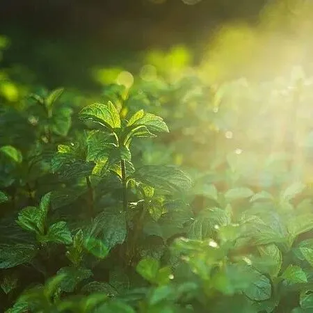 【美文赏读】请允许自己好好休息