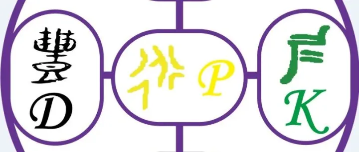 Analysis of DIKWP Model Cognitive Pathways for Commonly <em>Used</em> Chi