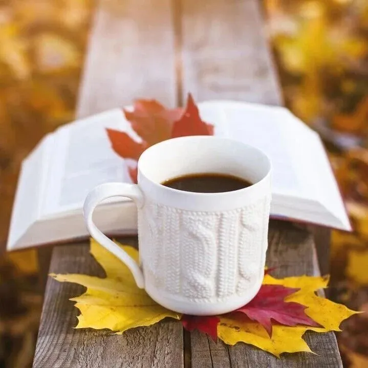 薅羊毛！亚马逊选品运营工具免费试用！