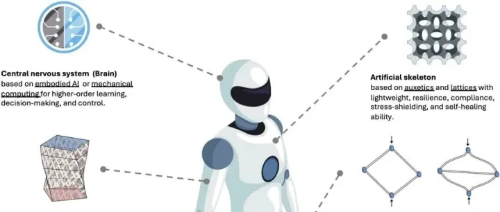 比翱研究院丨《Science Robotics》综述：超材料机器人