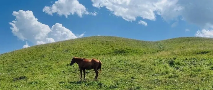 写给朋友的一封信