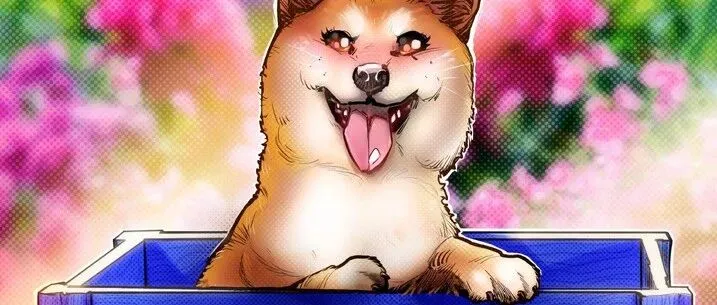 （博森科技）<em>Dogecoin</em>可能会在下周首次推出ETF