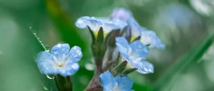 修仙不易，且修且珍惜