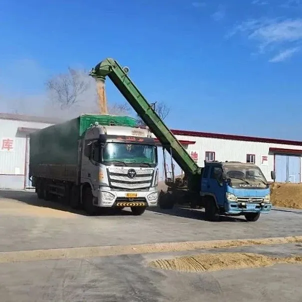 【856·五区】颗粒归<em>仓</em><em>稳</em>销路 暖心服务促增收