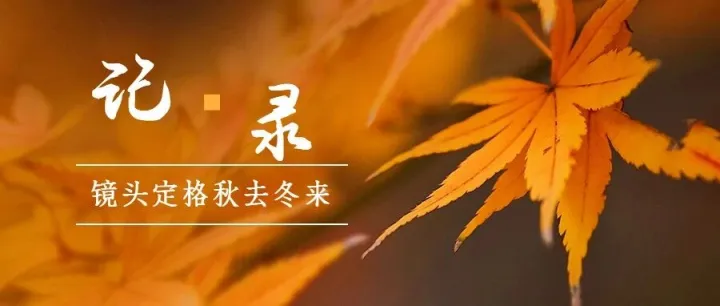 工会建设 | 激活职工活力  镜头定格秋去冬来