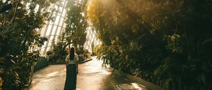 新加坡: 金融+AI 风险管理指南