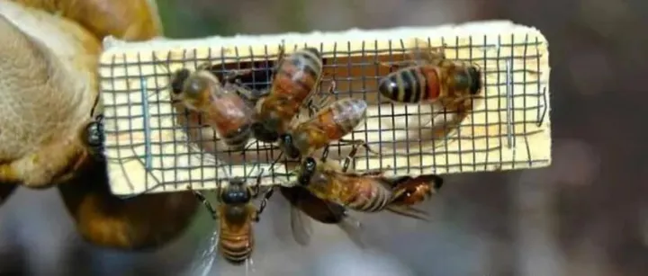 关王之妙，妙在何处？