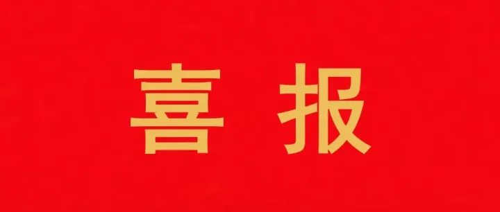 喜报！青山纸业竹溶解浆项目入选“十四五”轻工业先进科技创新成果