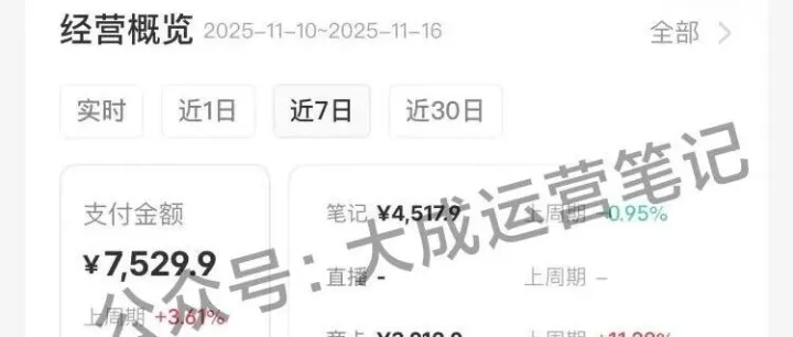 小红书开店卖虚拟产品第101天，怎么样了？