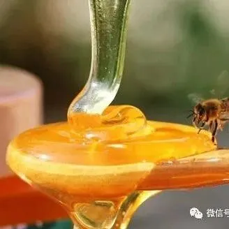 蜂蜜每天就一勺，各种病症找不着！