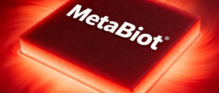 《npj Metamaterials》丨用于增强非傅里叶热传输的热超材料