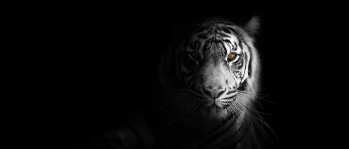 亚马逊<em>美国</em>站近期<em>群发</em>税务警告！