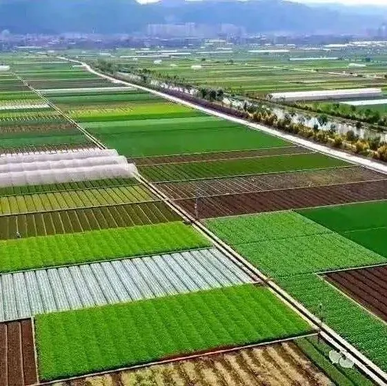 “硬核”攻坚！他们在通海“毛细血管”里绣出生态画卷