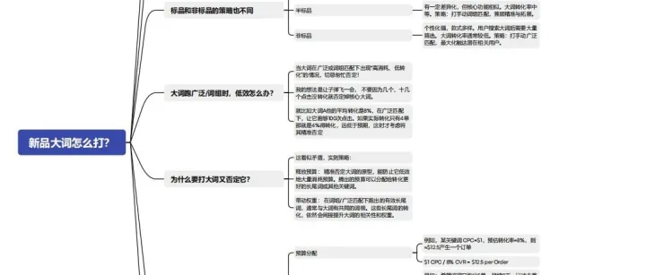 亚马逊运营—新品大词打法思维导图+亚马逊<em>CPC</em>高级<em>广告</em>课程<em>培训</em>纪要