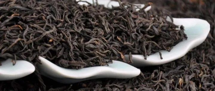 习水红茶——国家地理标志的自然与匠心之味