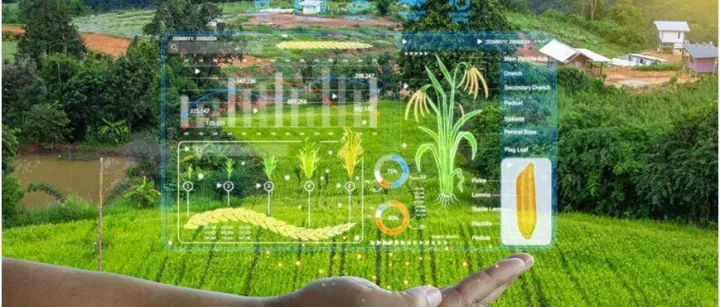 智慧农业技术：重塑农业<em>未来</em>的十大<em>应用</em>与<em>发展方向</em>