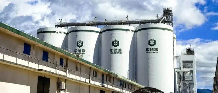 政策引领+科技破局：凛能科技做粮食绿色仓储提升行动方案的践行者