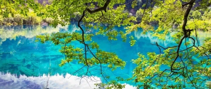 血多的地方，容易招来狼