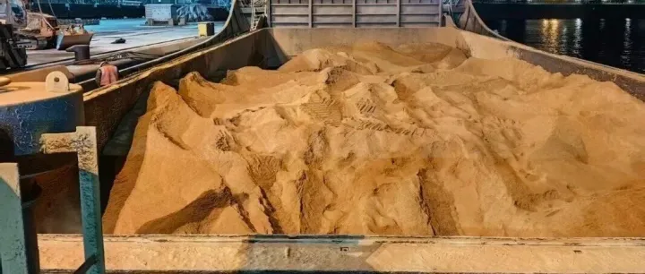 散货物流部完成饲料租船操作并开展业务交流