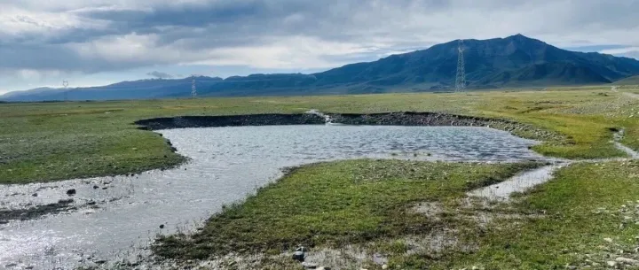 如何识别产品被标注了成人标签