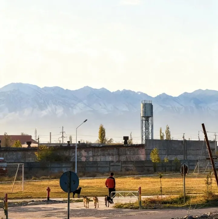 文苑漫步 | 丝路晨光