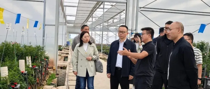 楚雄州：“搭台赋能”种质资源激活产业新生态