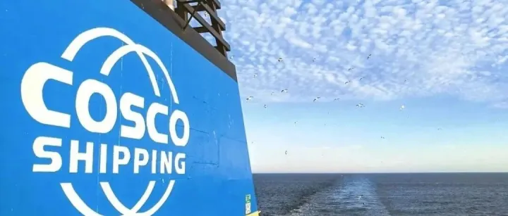 集装箱海运中心与大连集运销售部开展协同交流座谈