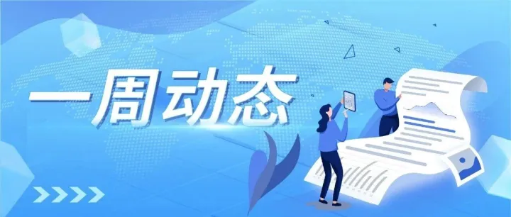 电投周报│2025年11月第一期