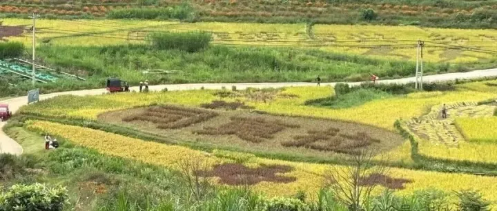 文旅项目最急的不是投资，而是运营