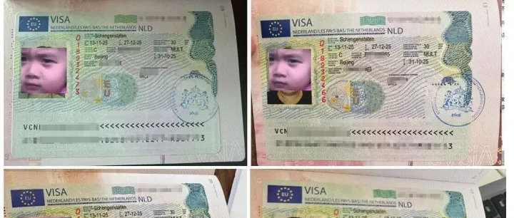 15天太久？我们的荷兰商务签催签服务，助您快速出签，无需焦急等待