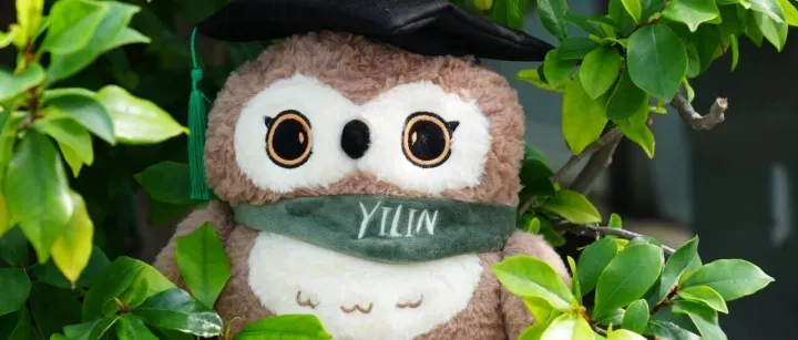 将文学的浪漫，背在身上